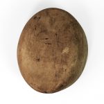 Top view of oval crown with flat top.